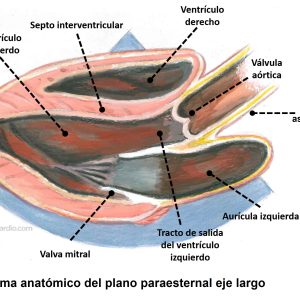 miniatura del curso