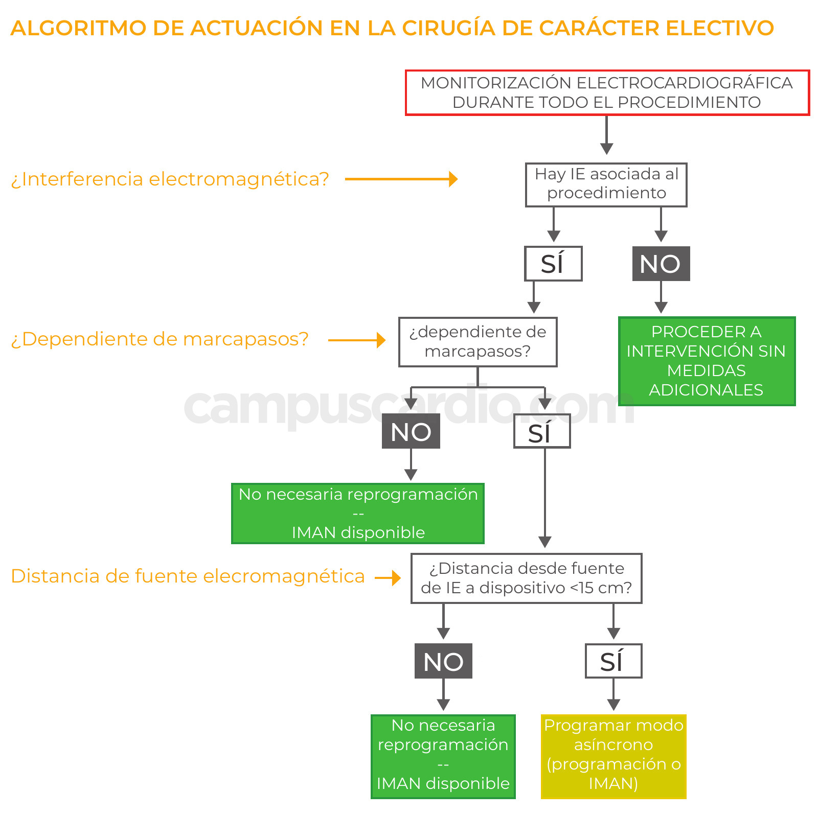 Caso 114, imagen 5