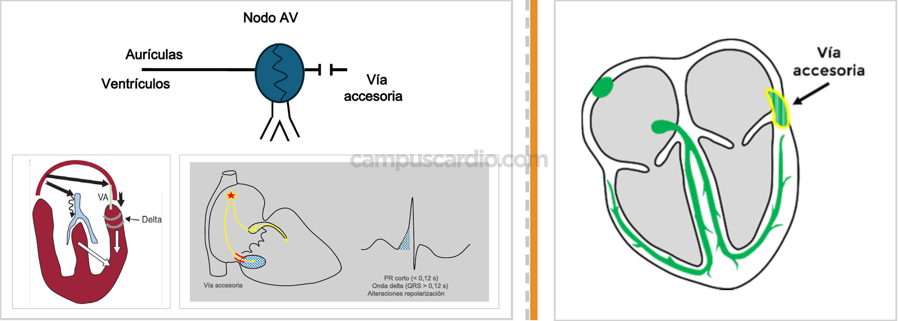 Caso 115, imagen 3