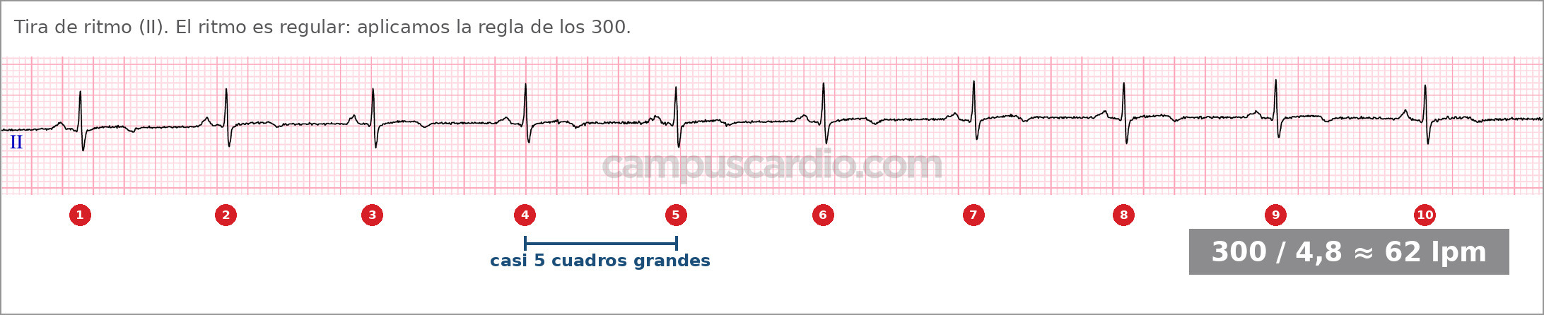 Caso 116, imagen 2