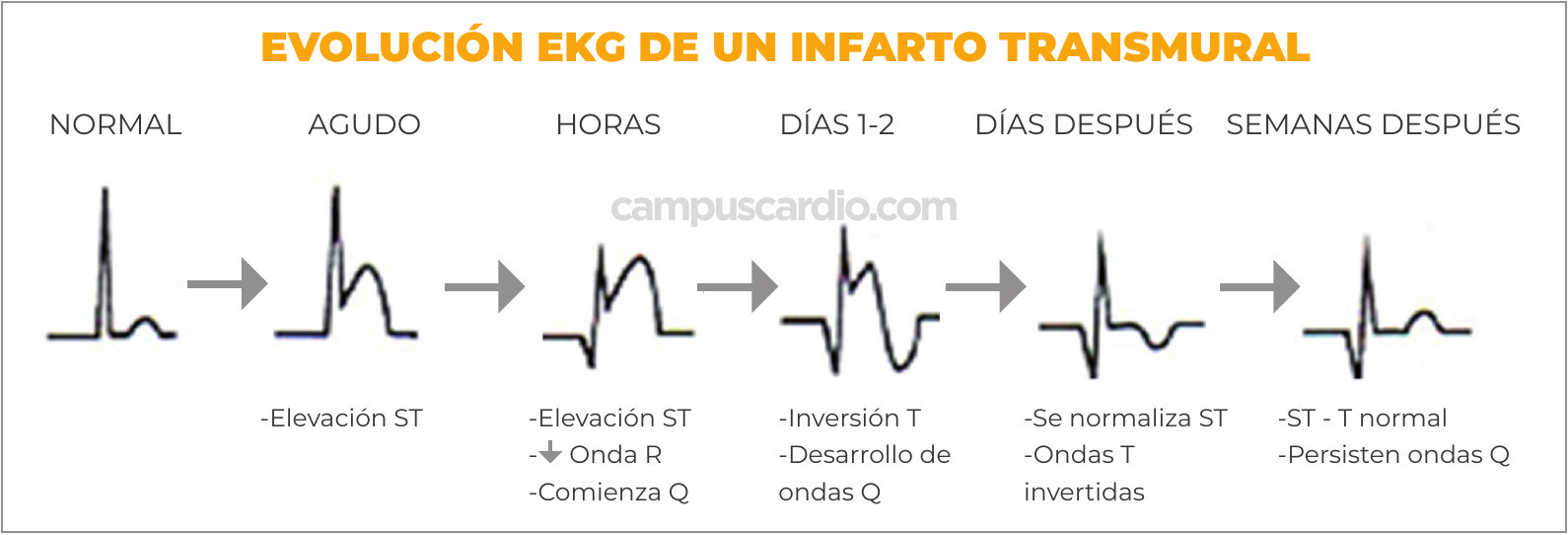 Caso 116, imagen 4