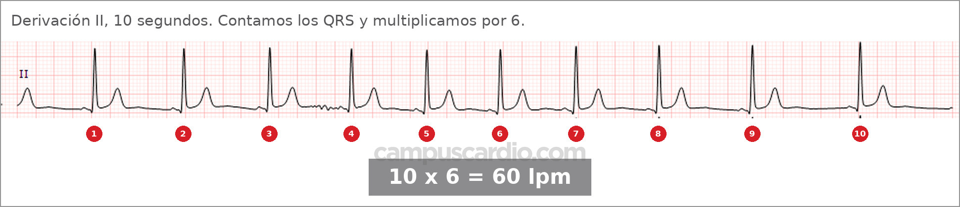 Caso 117, imagen 2