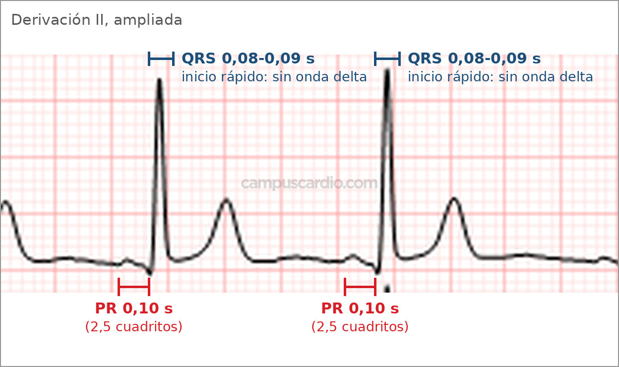 Caso 117, imagen 3