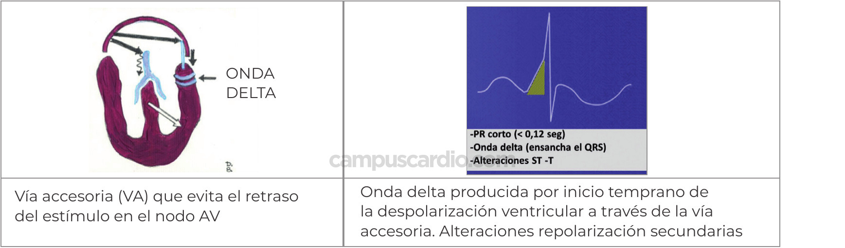 Caso 117, imagen 4